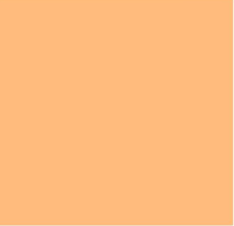 Orange Semi Cured Gel Nail Stickers