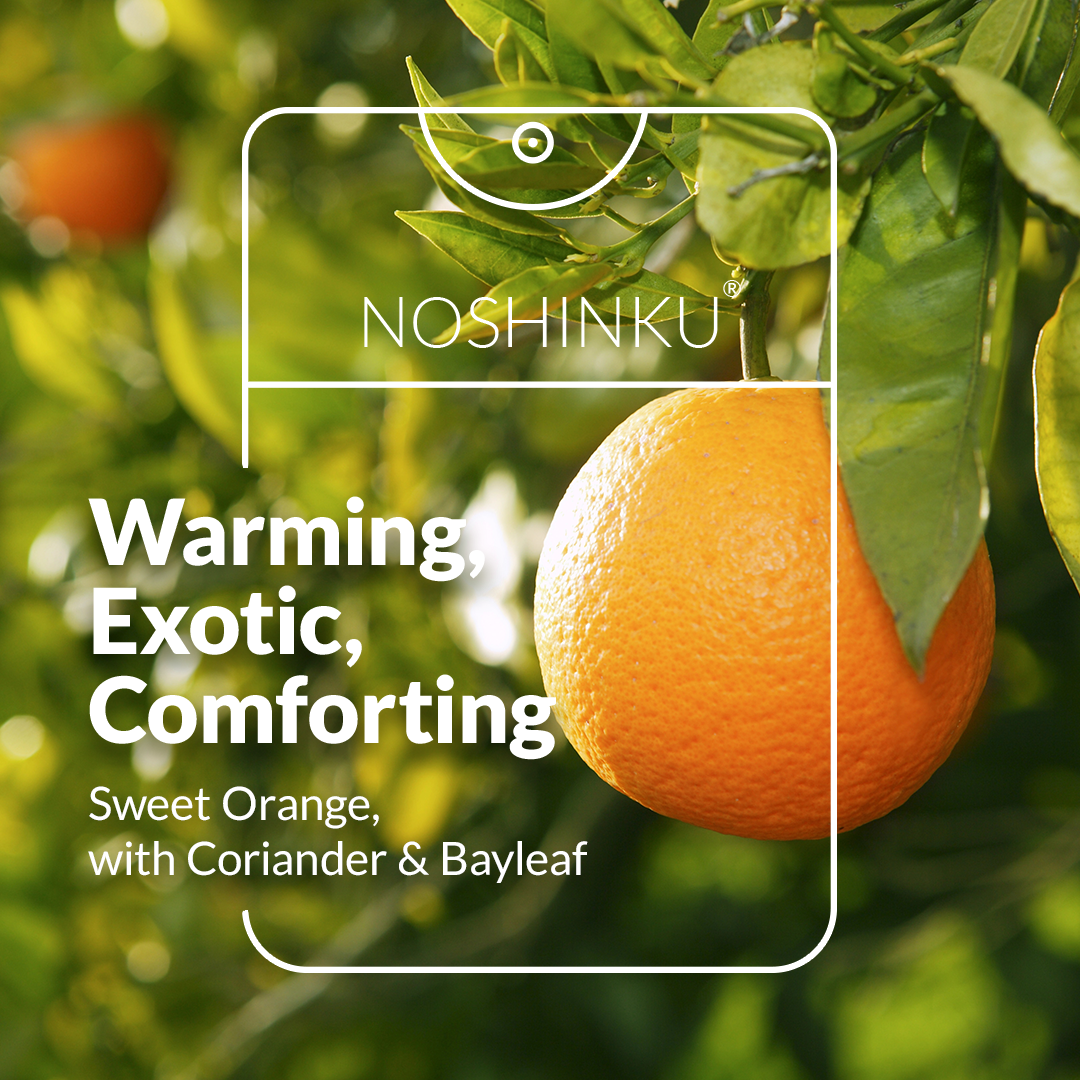 Noshinku - Orange & Coriander Pocket Sprayer