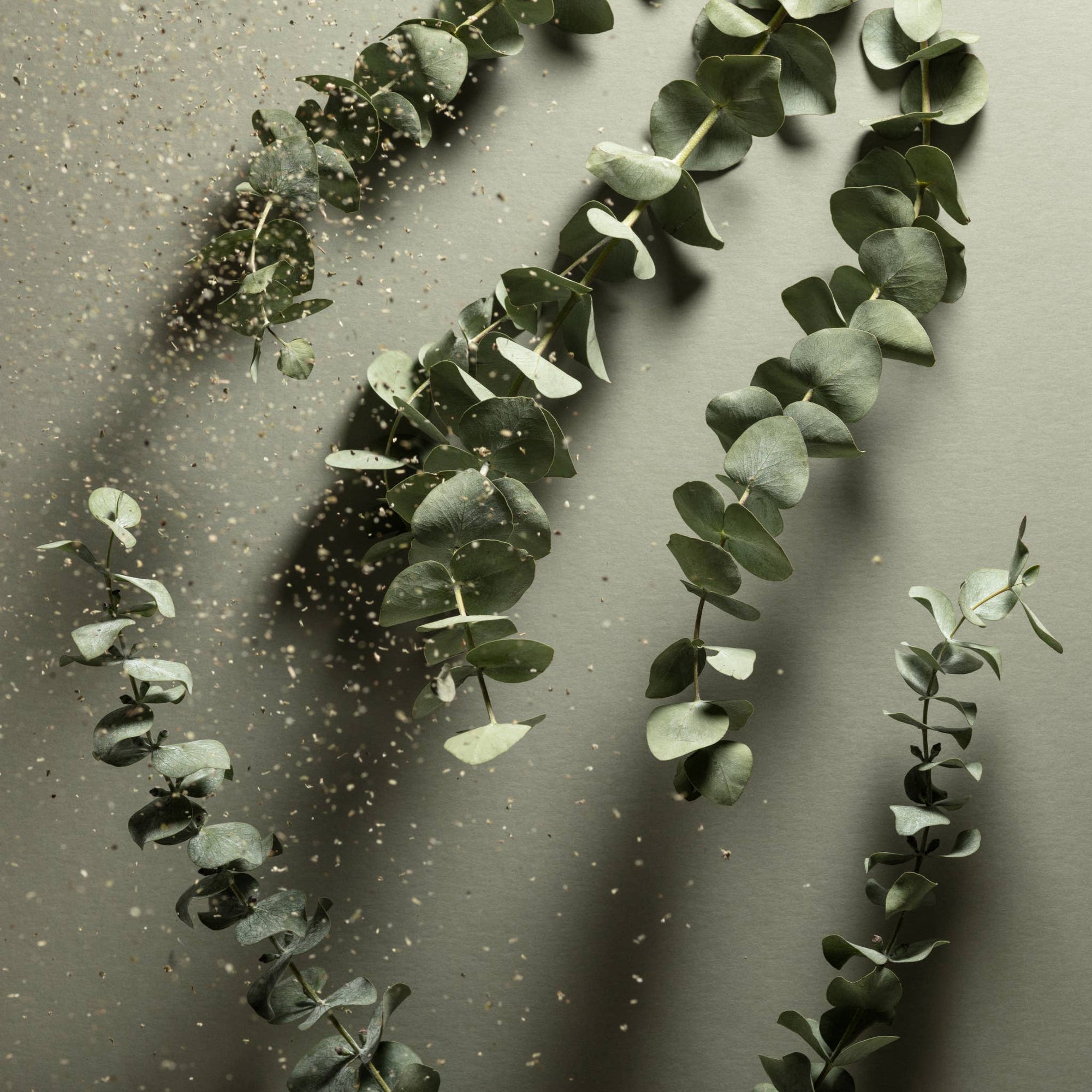 Noshinku - Eucalyptus Pocket Sprayer