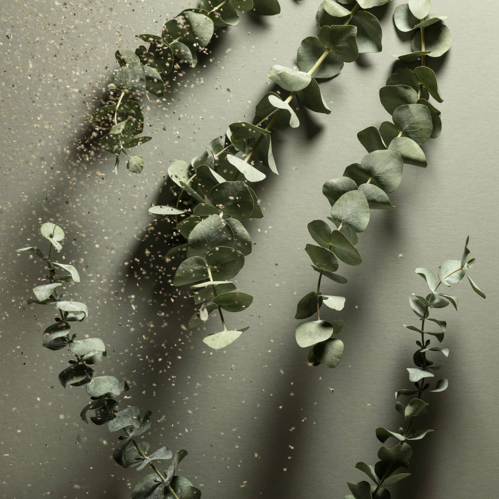 Noshinku - Eucalyptus Pocket Sprayer