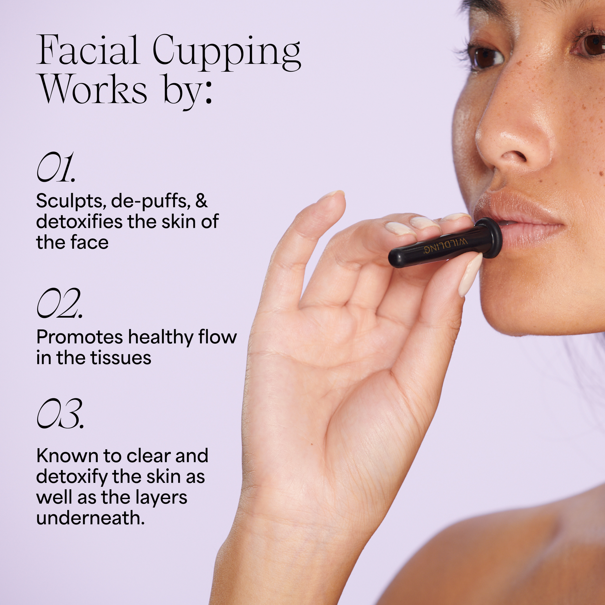 Wildling - Lumin Cupping Set
