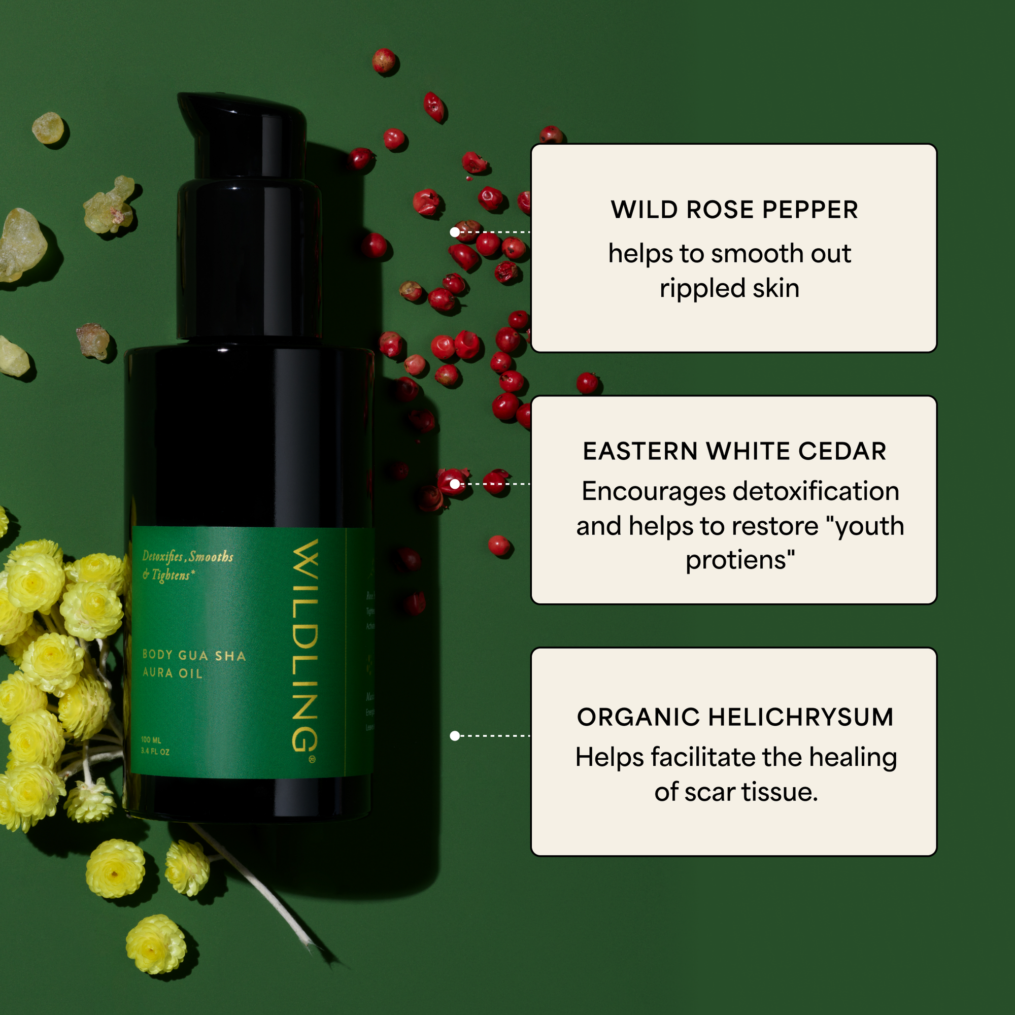 Wildling - Aura Body Toning Oil