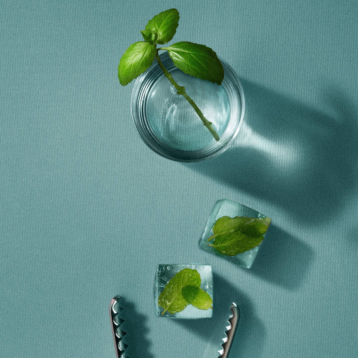 Cleo+Coco - Body Powder + Dry Shampoo - Talc-Free, Anti-Chafe- Basil Mint