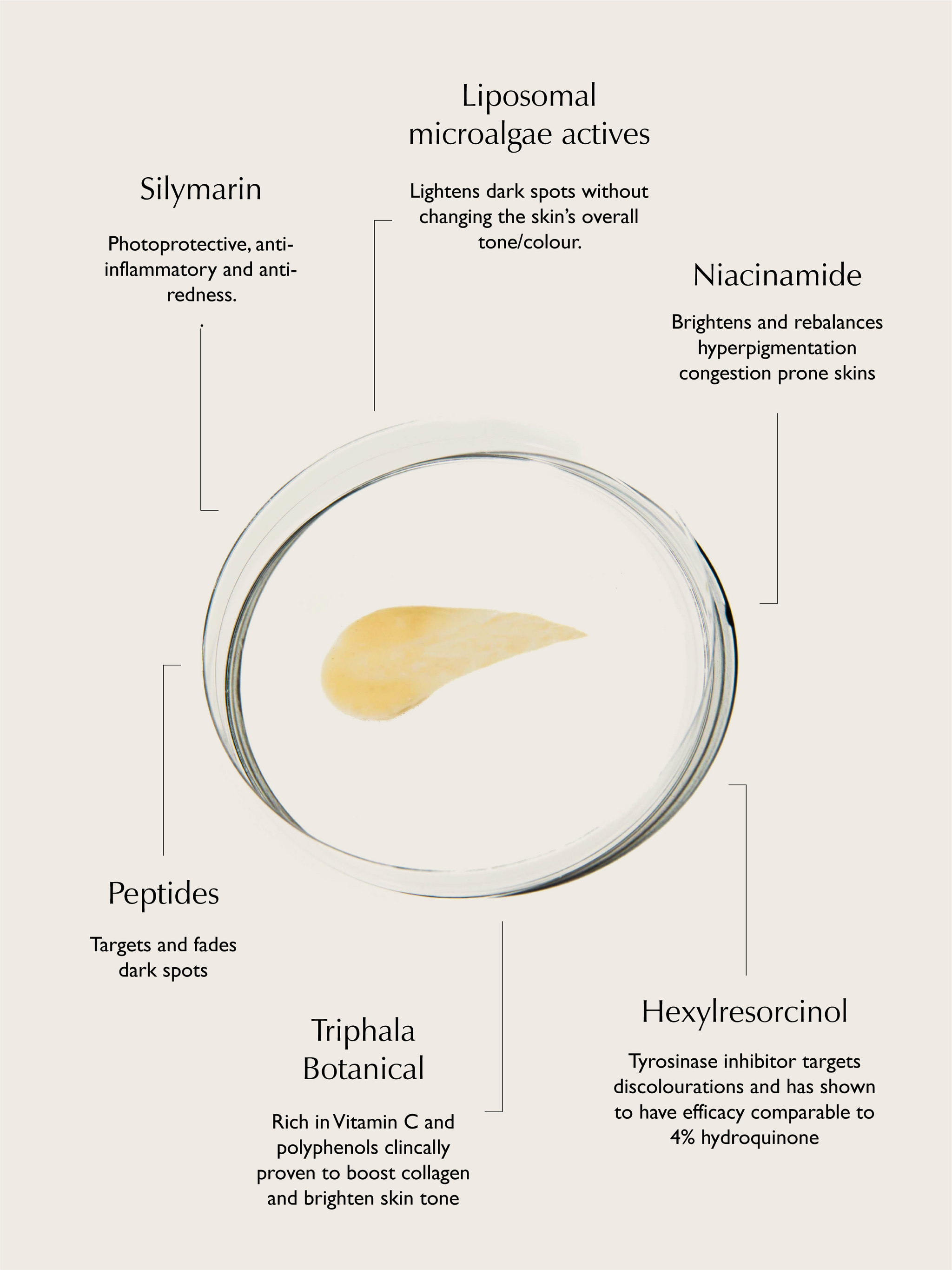 Sachi Skin - Triphala Pigmentation Corrector