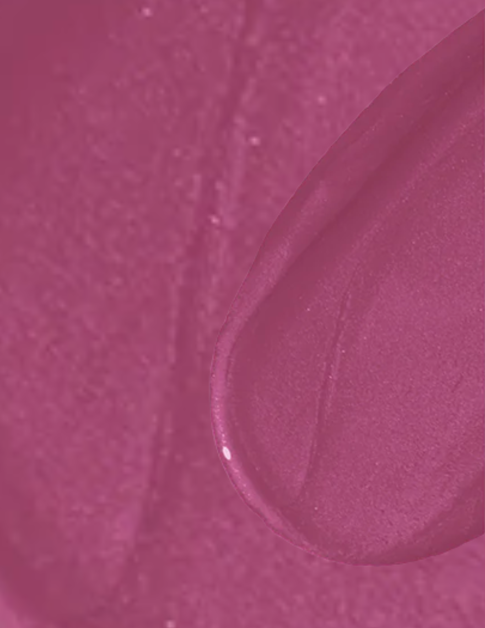 Wonderskin Wonder Blading All-Day Lip Stain