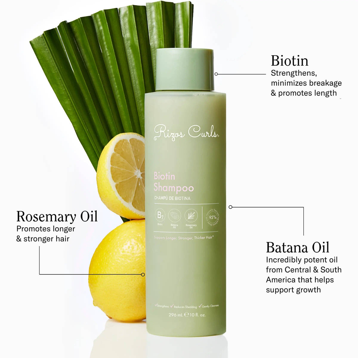 Rizos Curls - Biotin Shampoo