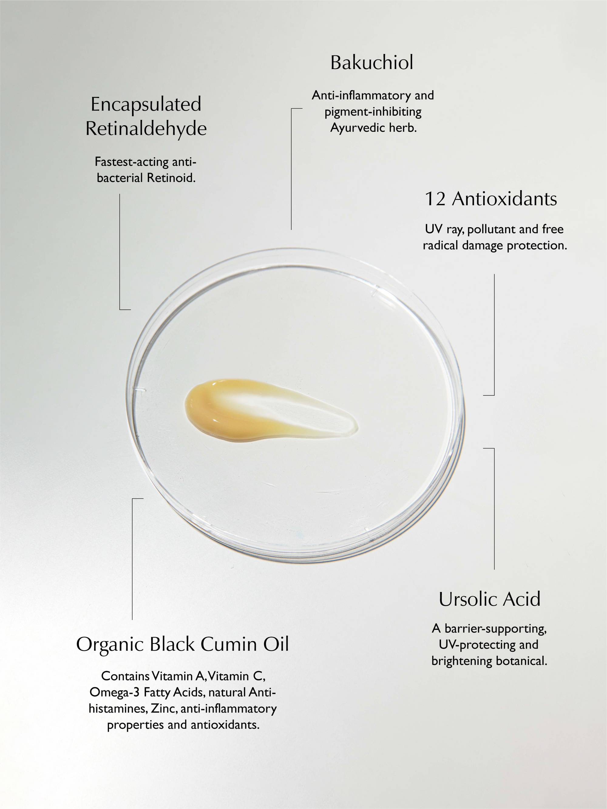 Sachi Skin - Ursolic Acid & Retinal Overnight Reform