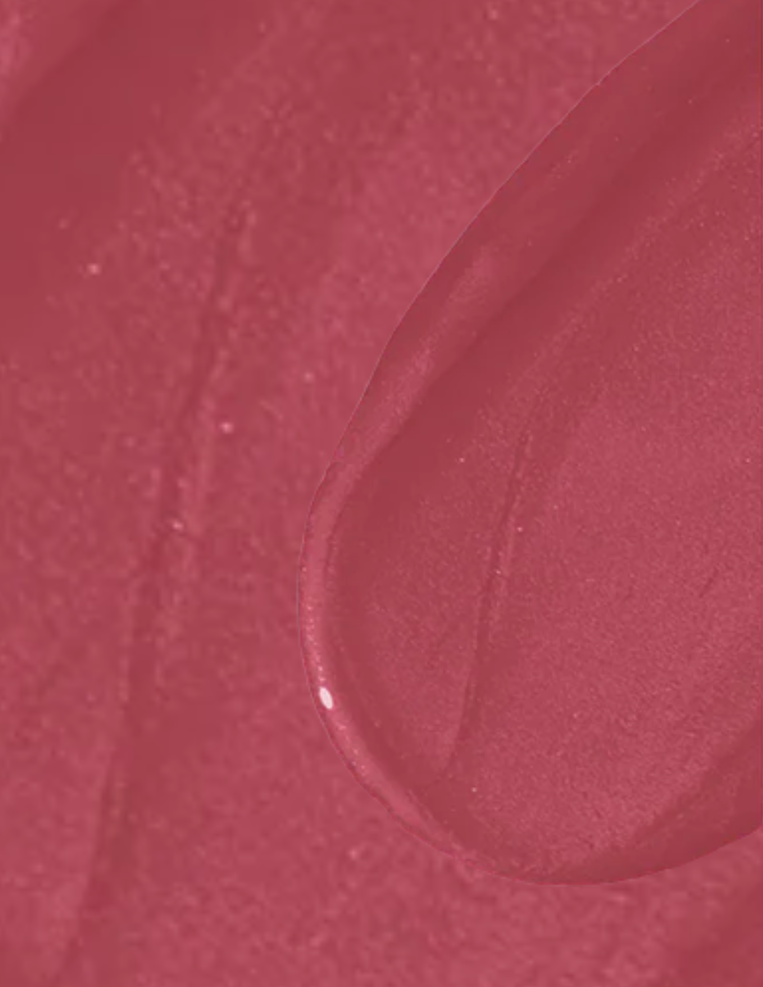 Wonderskin Wonder Blading All-Day Lip Stain