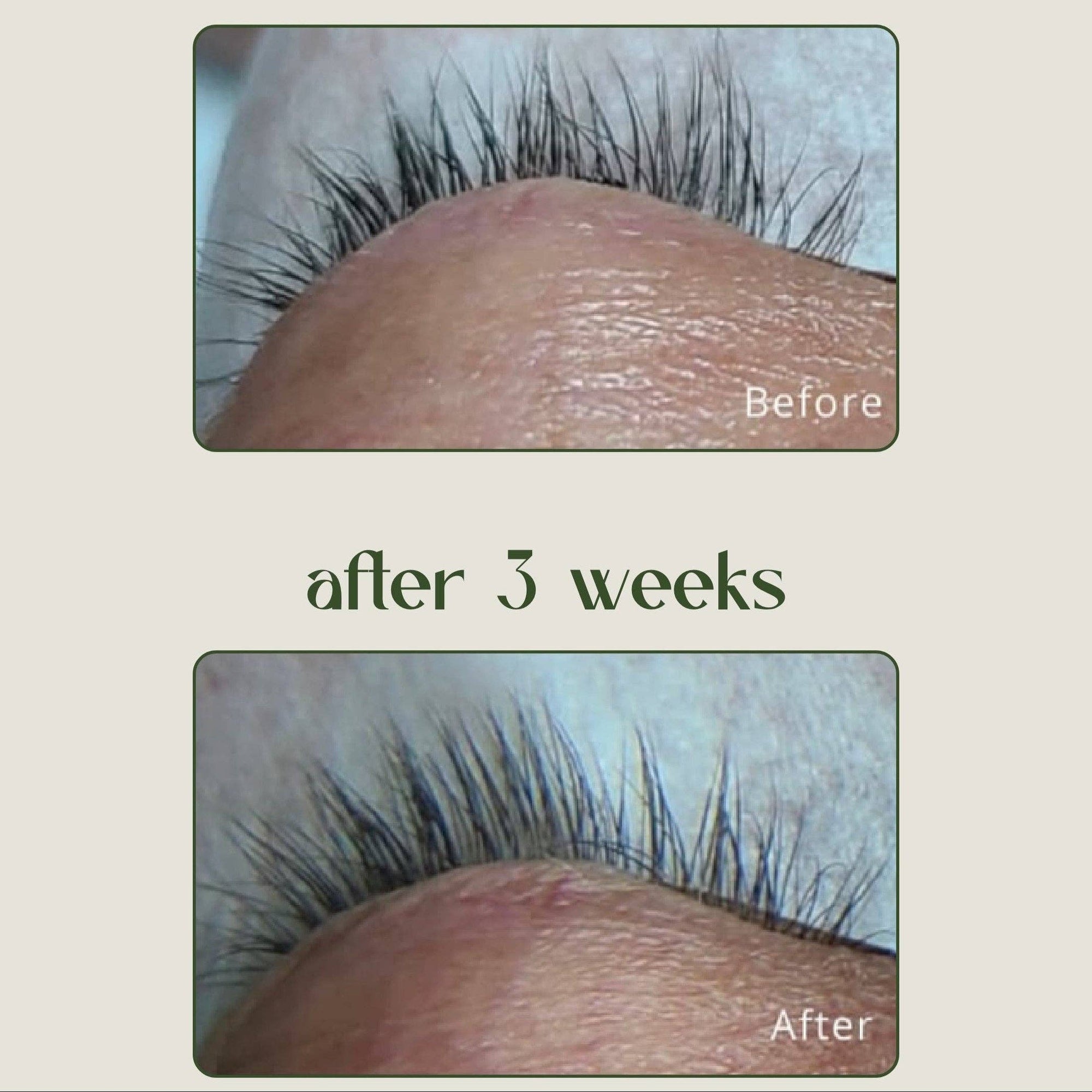 Lashfood - Gift of Lashes Set