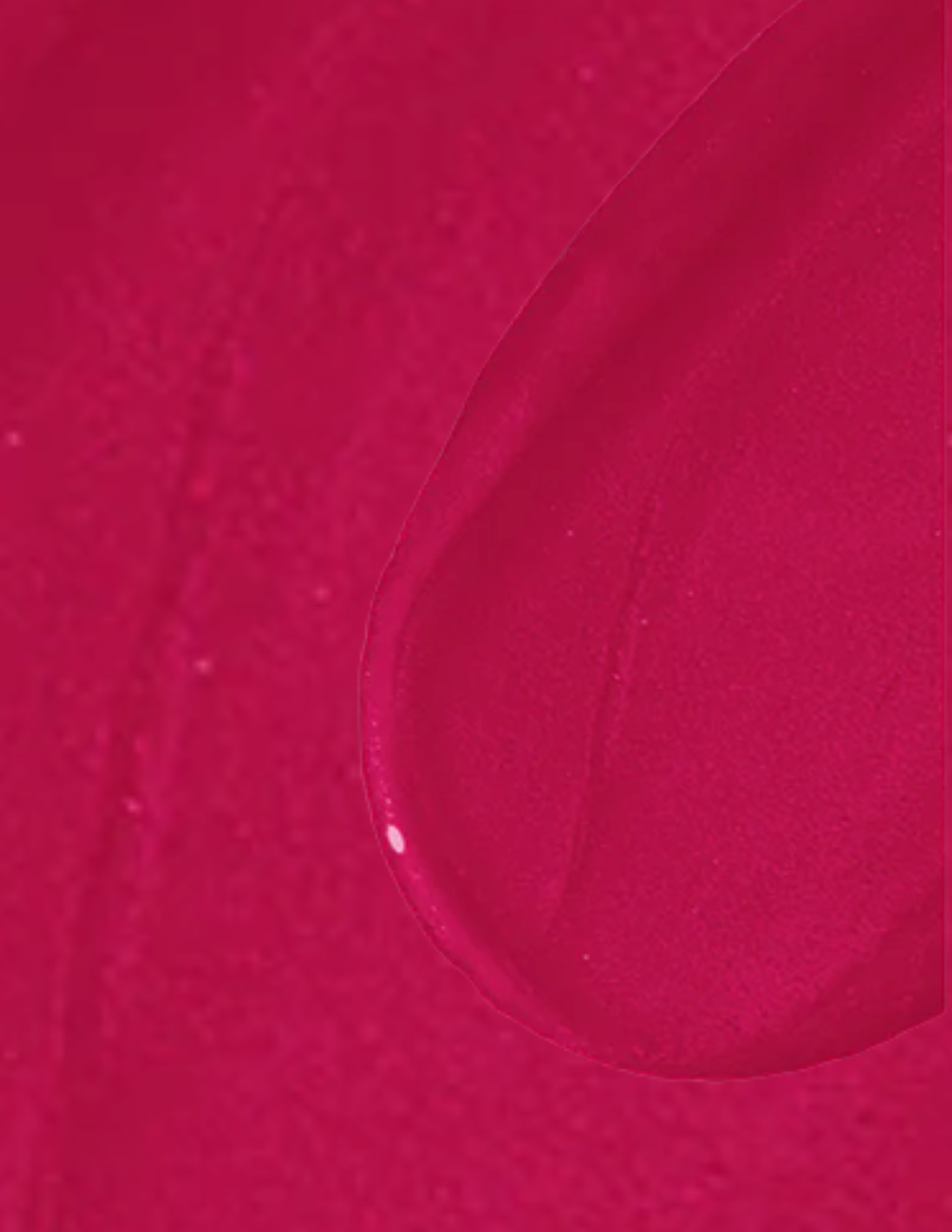 Wonderskin Wonder Blading All-Day Lip Stain