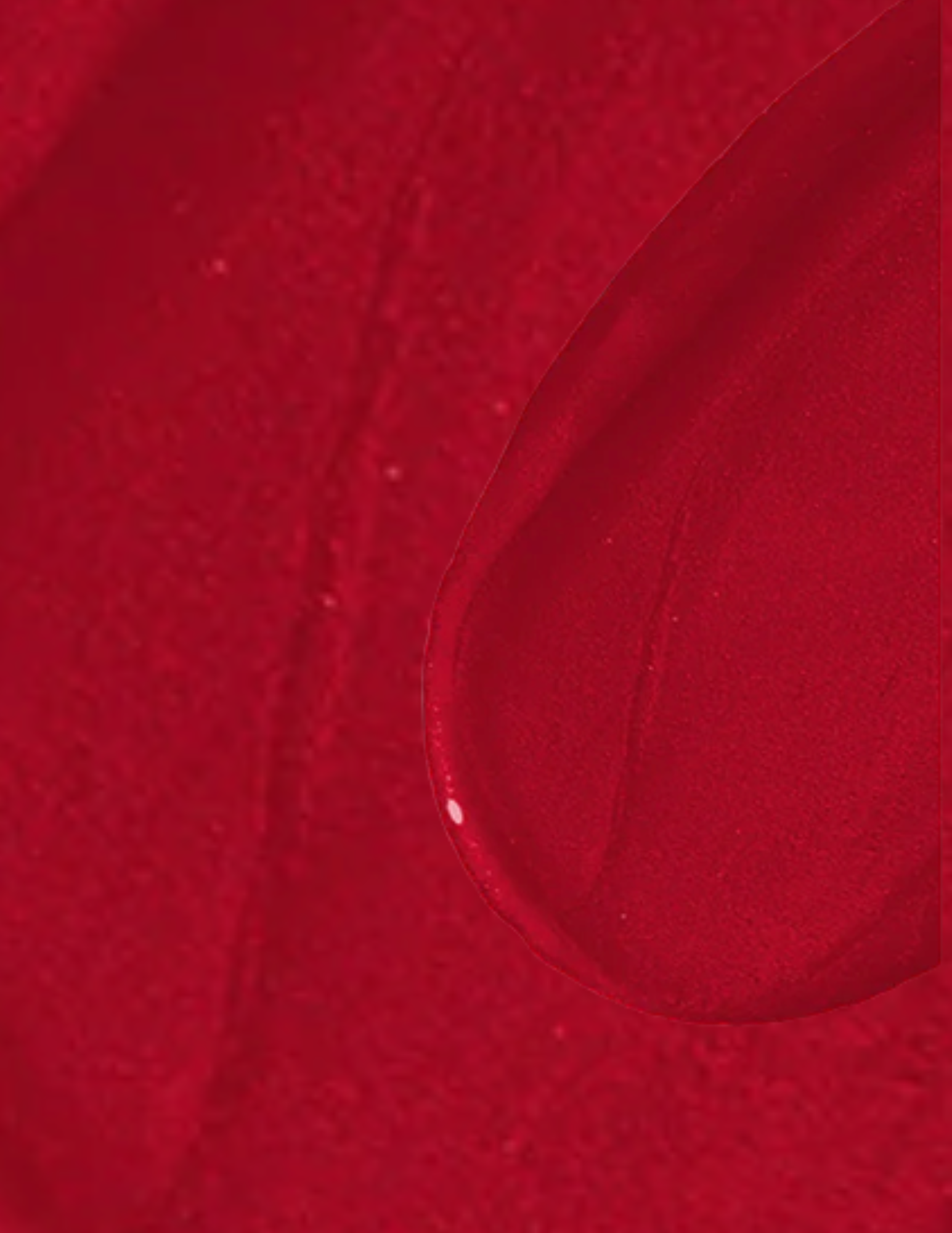Wonderskin Wonder Blading All-Day Lip Stain