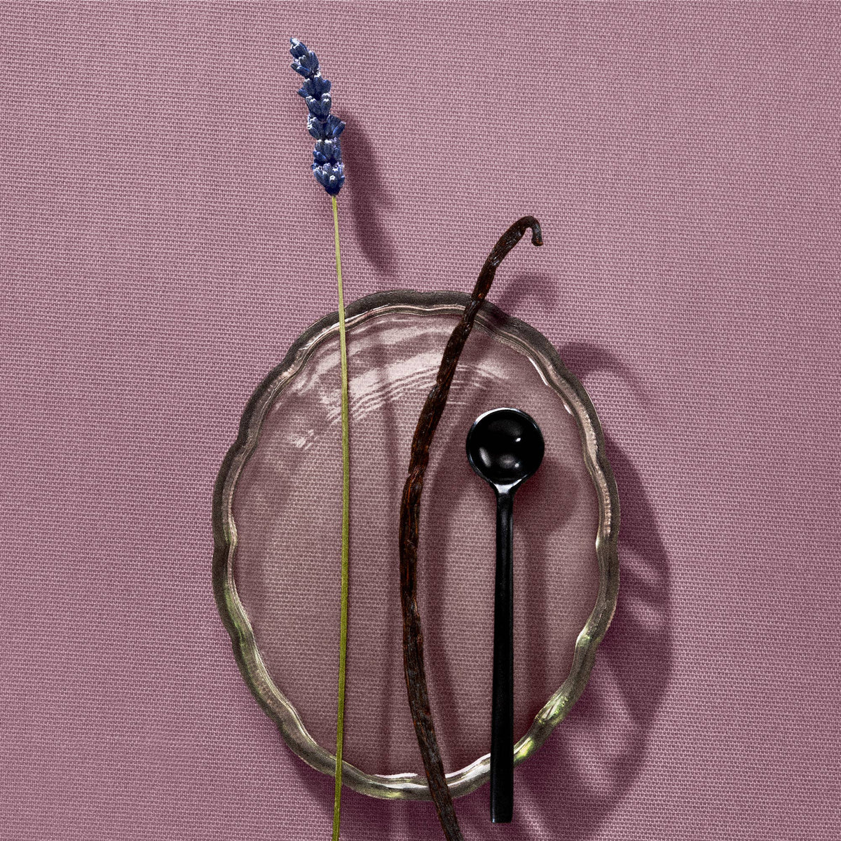 Cleo+Coco - Body Powder + Dry Shampoo - Talc-Free, Anti-Chafe Lavender Vanilla