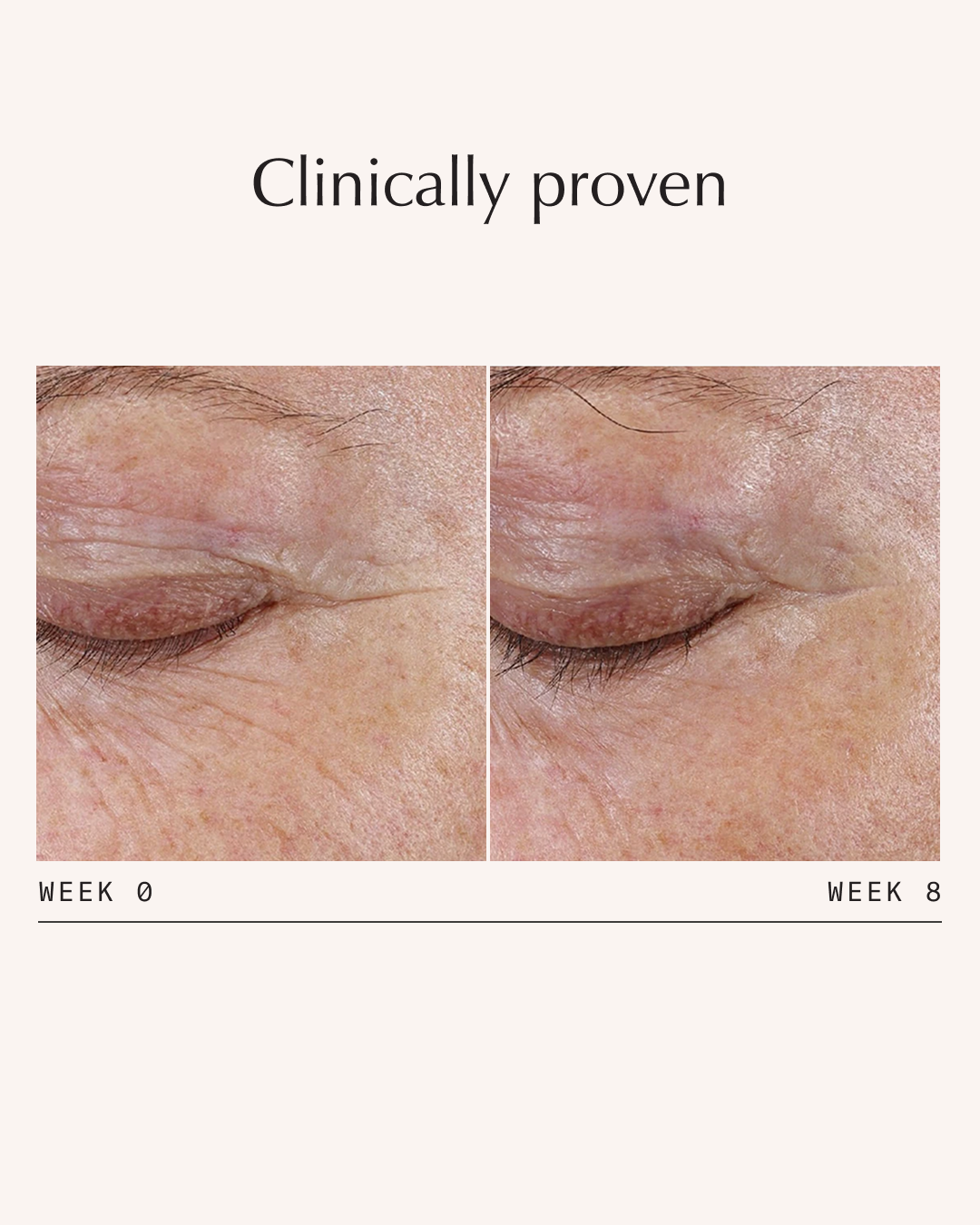 Sachi Skin - Future Veil™ Firm & Repair Peptide Cream