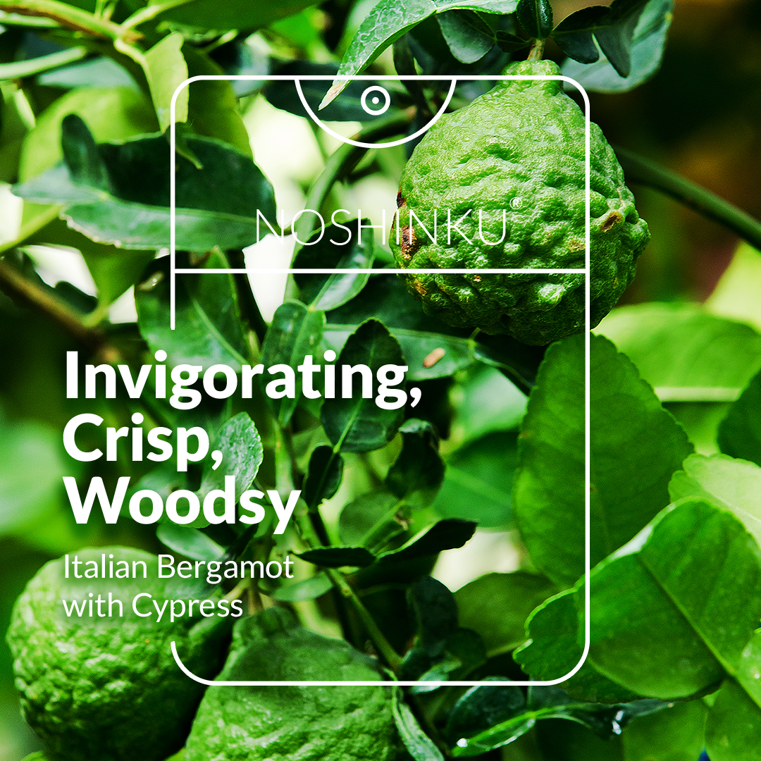 Noshinku - Bergamot Pocket Sprayer