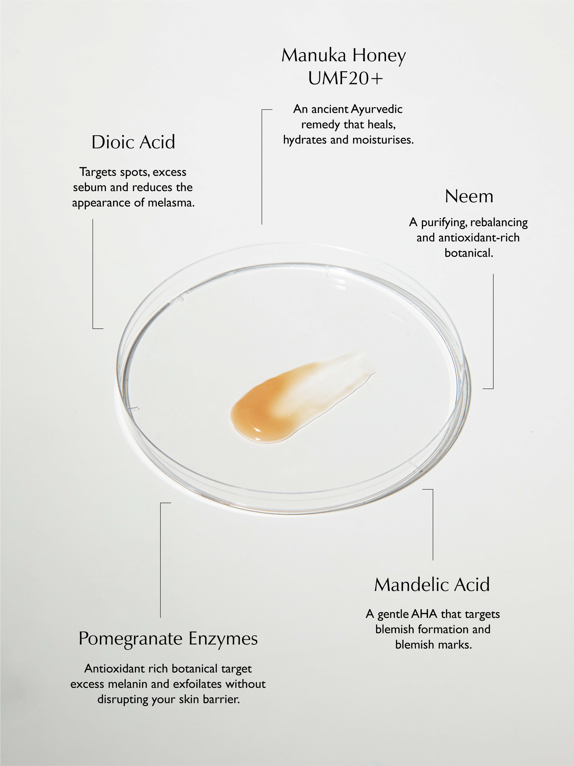 Sachi Skin - Complexion Clarifying Accelerator