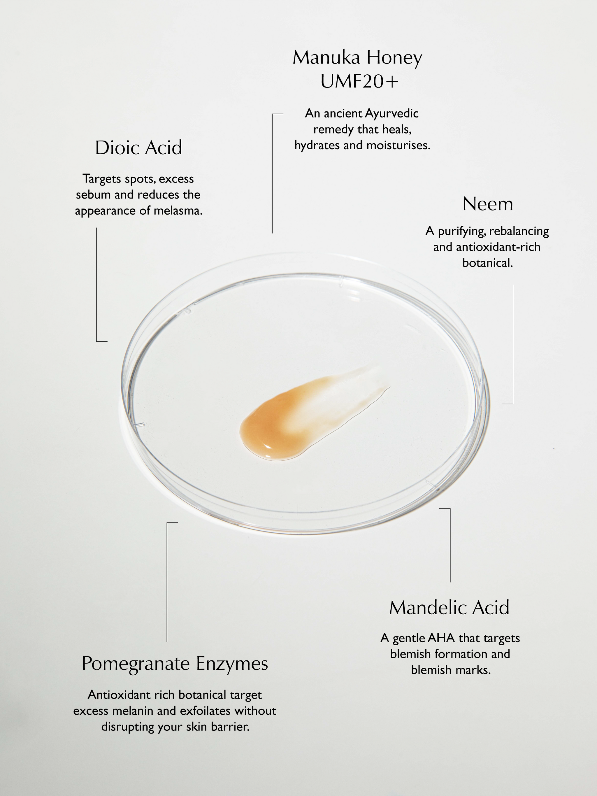Sachi Skin - Complexion Clarifying Accelerator