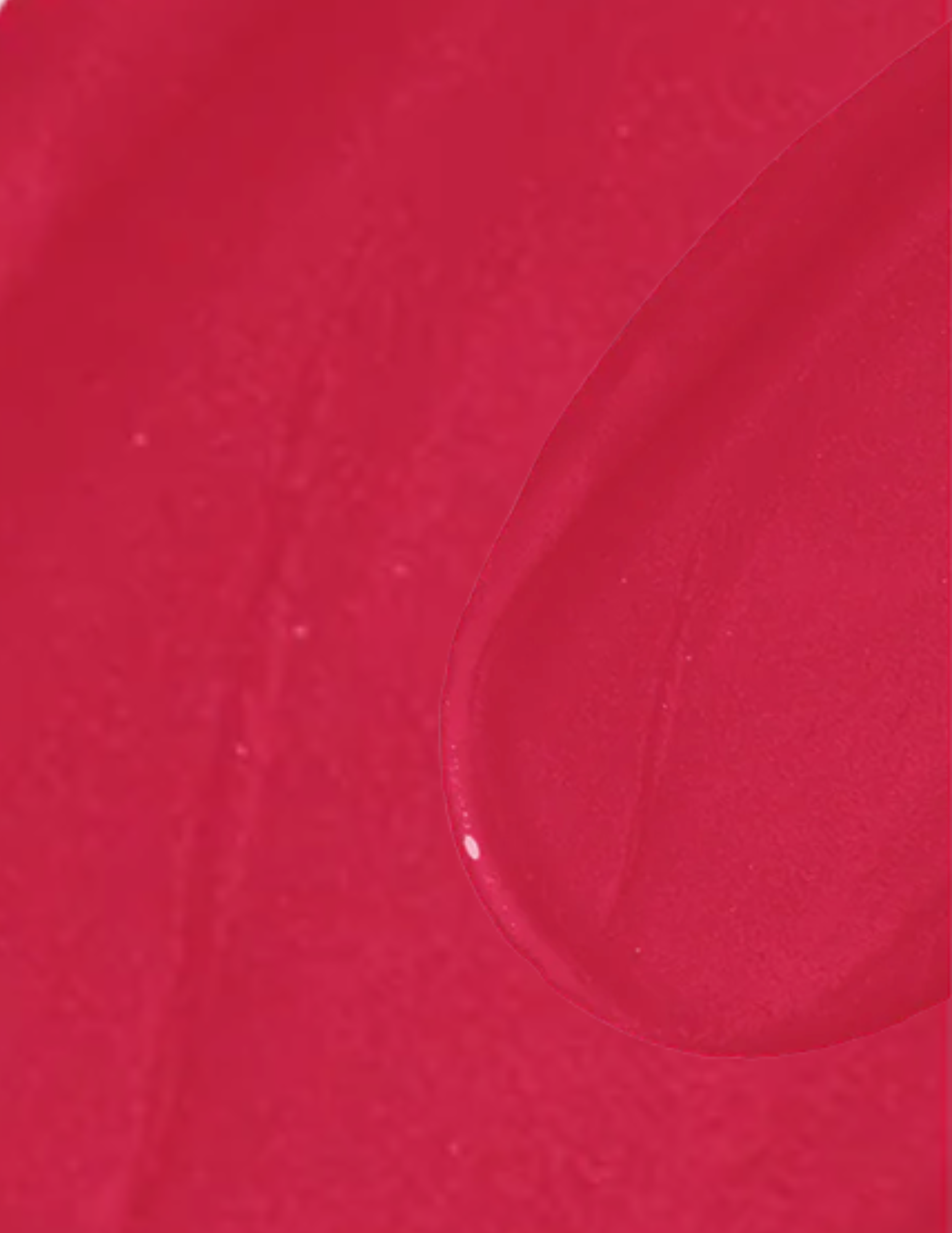 Wonderskin Wonder Blading All-Day Lip Stain