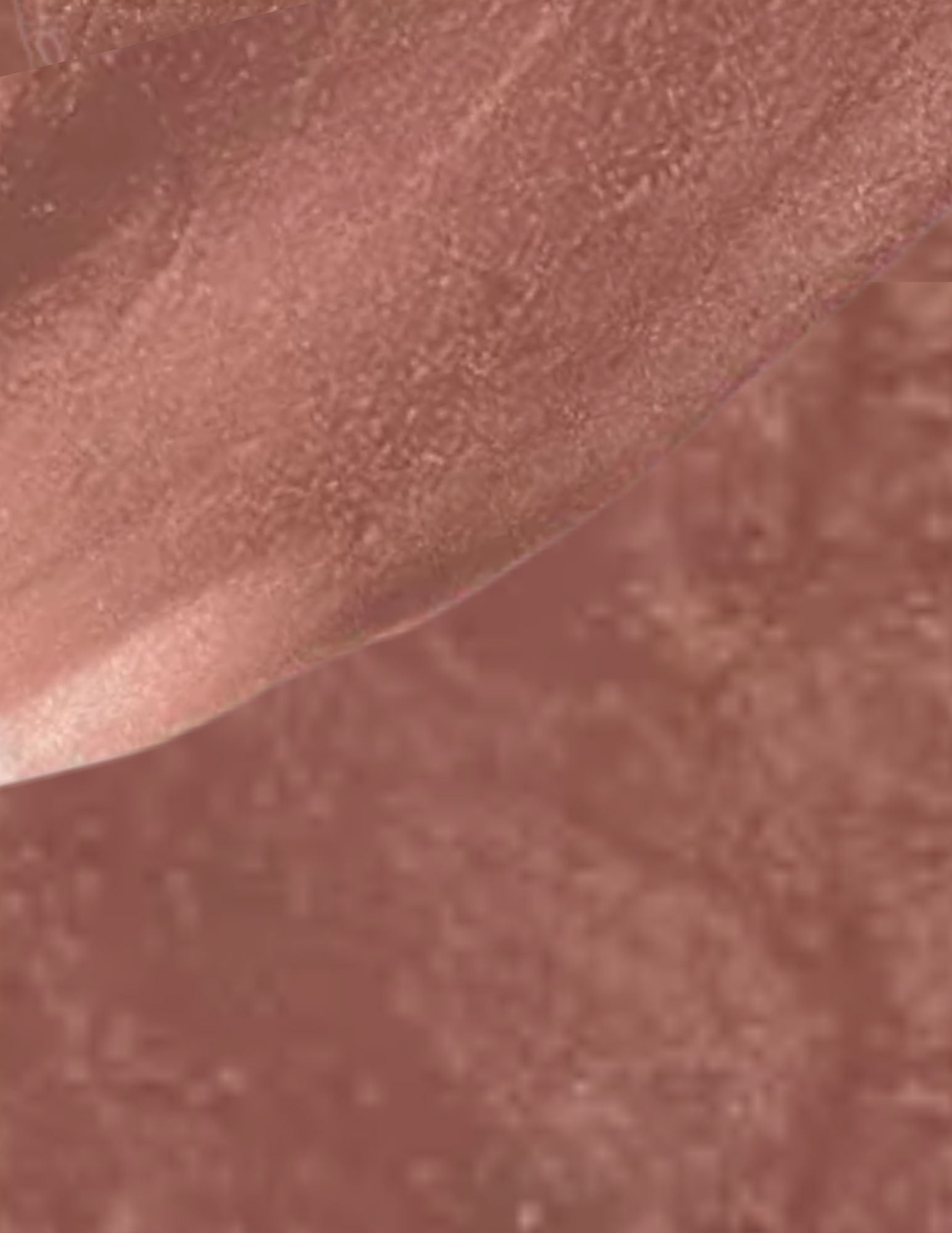 Wonderskin Wonder Blading All-Day Lip Stain
