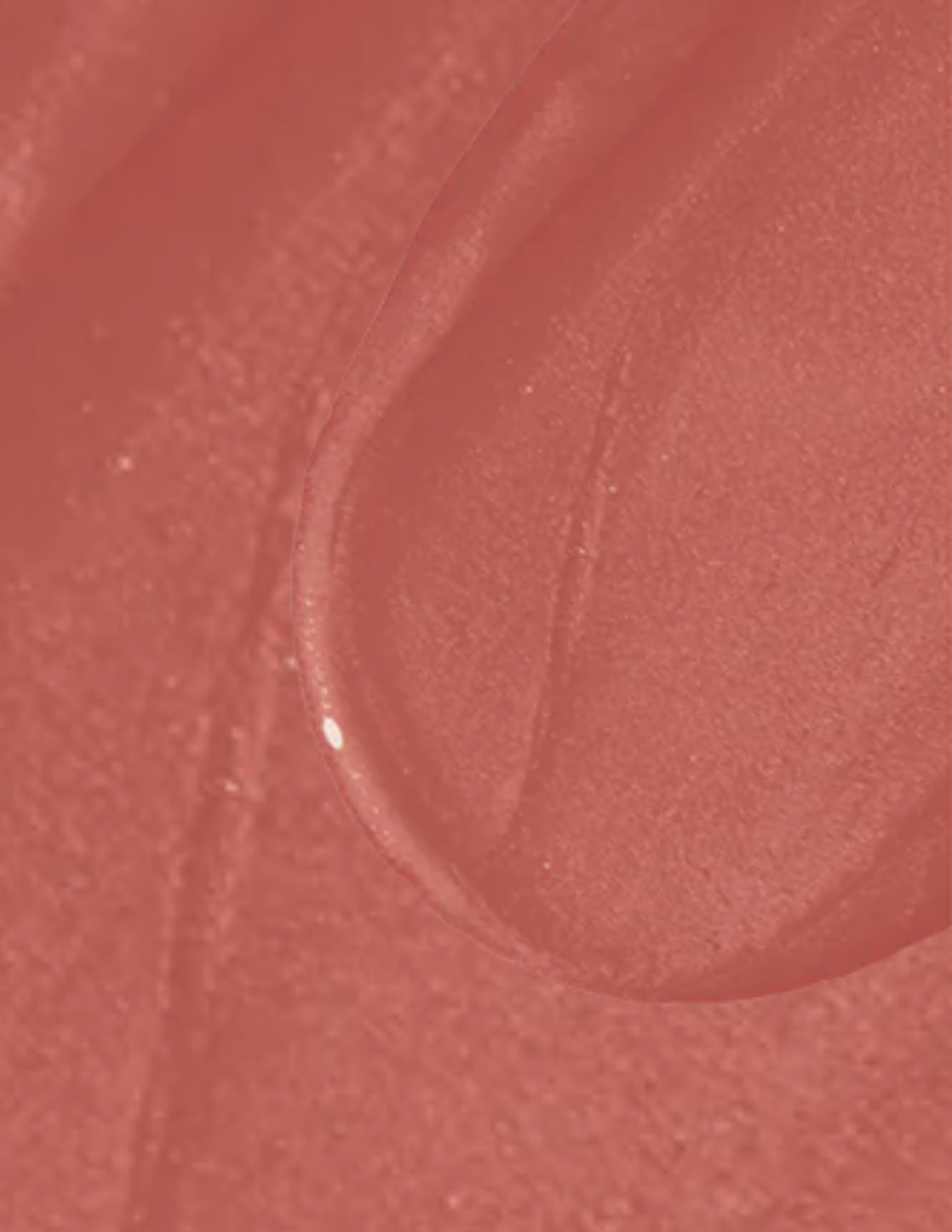 Wonderskin Wonder Blading All-Day Lip Stain