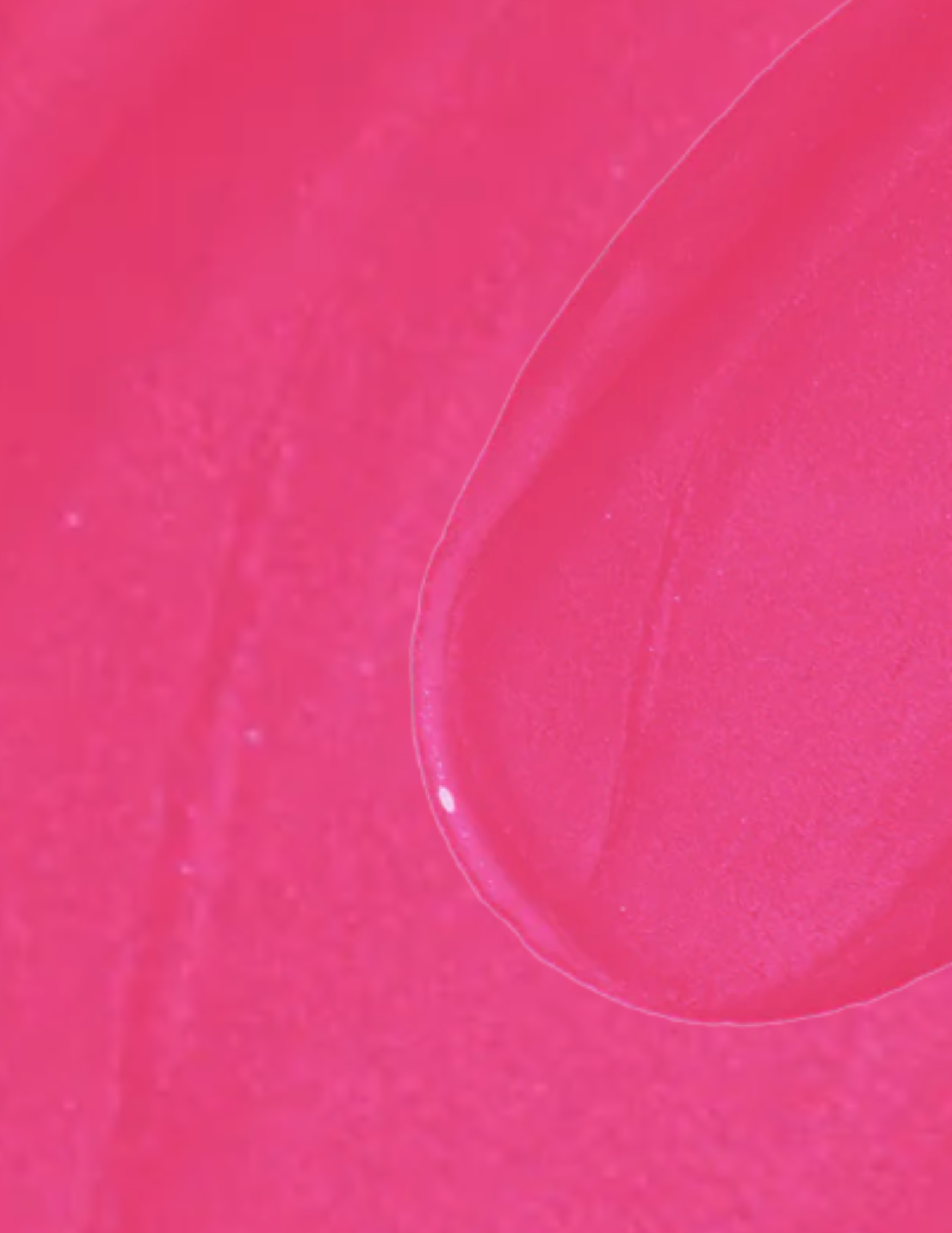 Wonderskin Wonder Blading All-Day Lip Stain