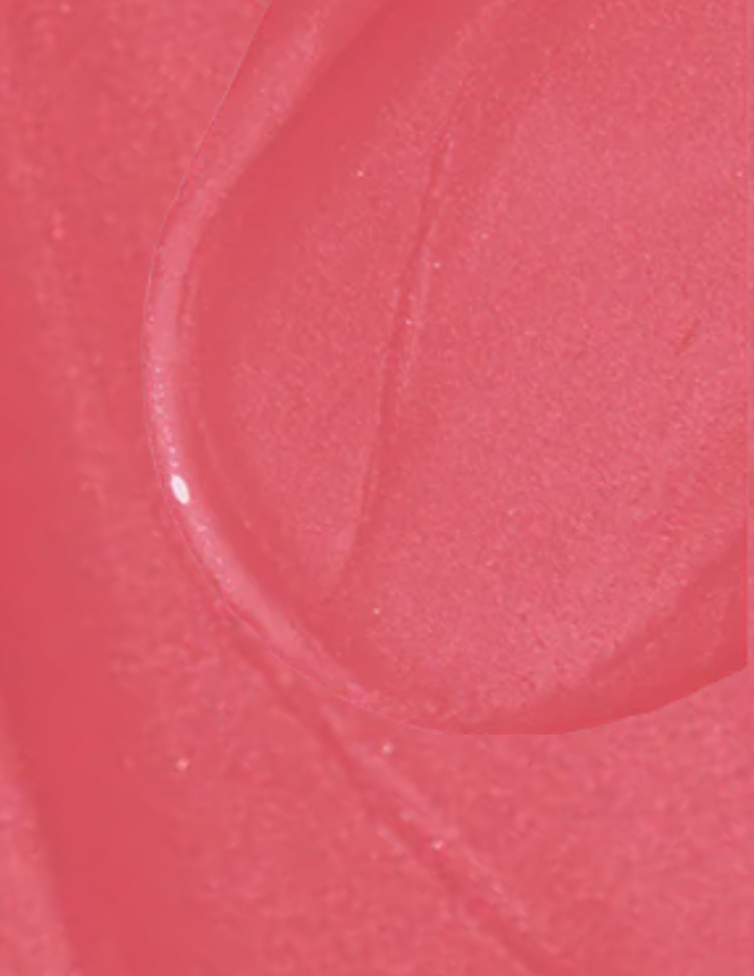 Wonderskin Wonder Blading All-Day Lip Stain