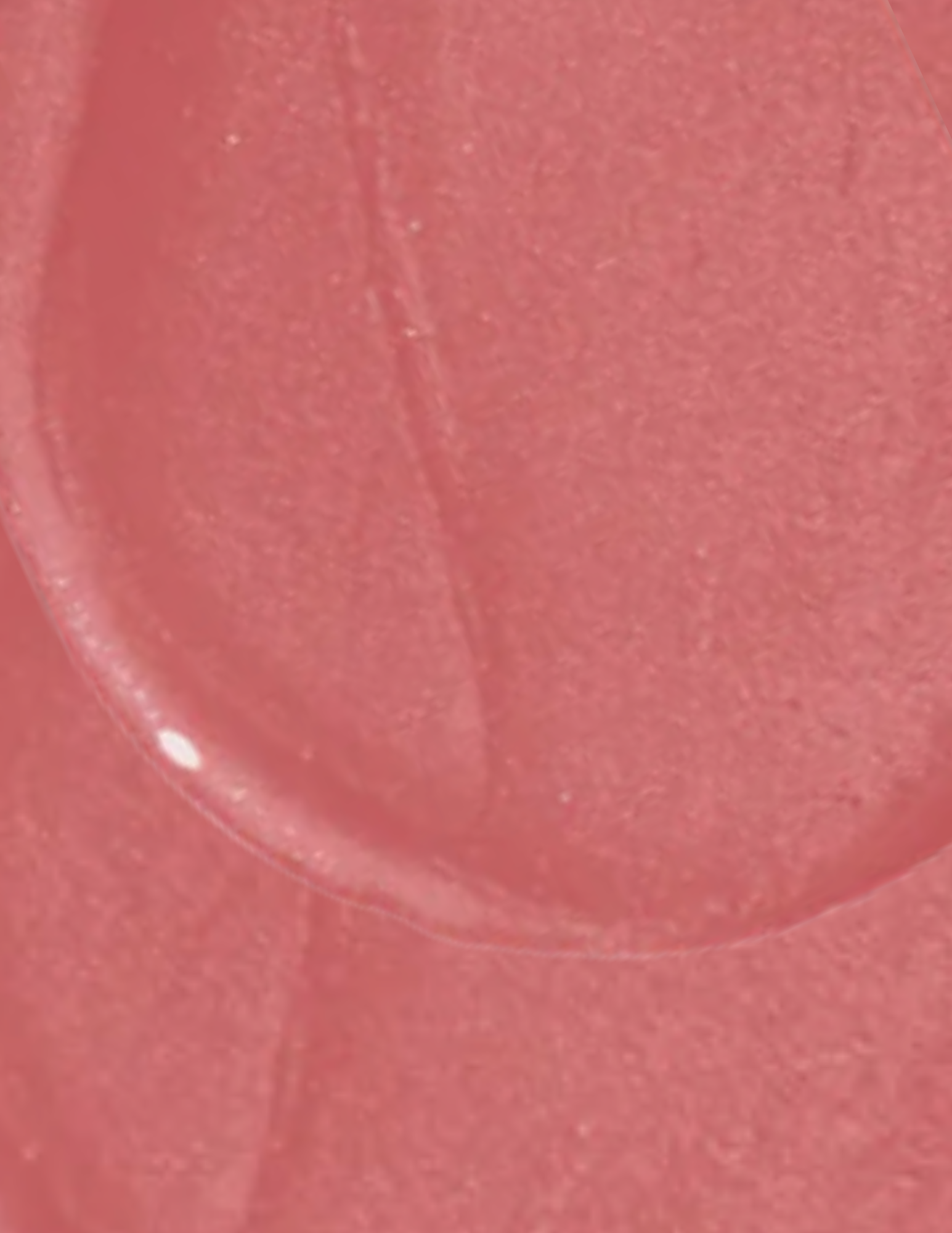 Wonderskin Wonder Blading All-Day Lip Stain